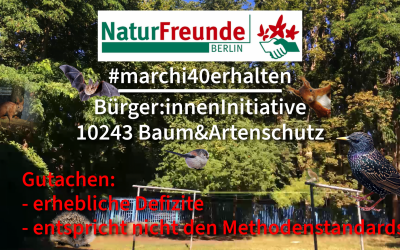 Veröffentlichungen 10 Naturfreunde Berlin: Stellungnahme zur artenschutzrechtlichen Betreuung – Drei-Religionen-Kita-Haus